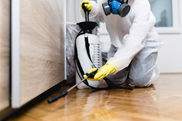 Best Emergency Pest Control  in Cave Spring, VA