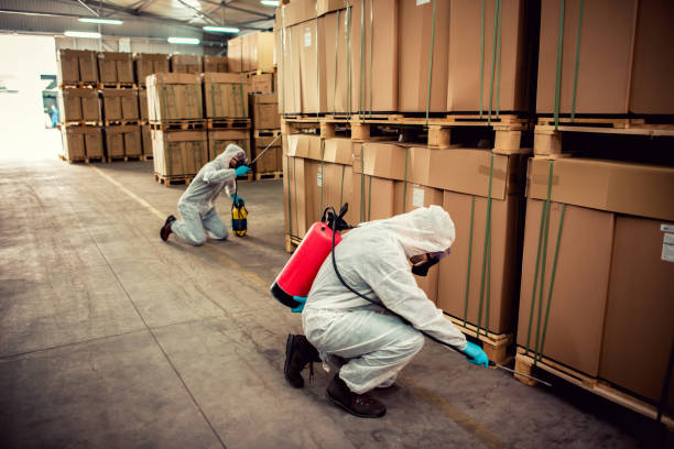 Best Pest Removal Services  in Cave Spring, VA