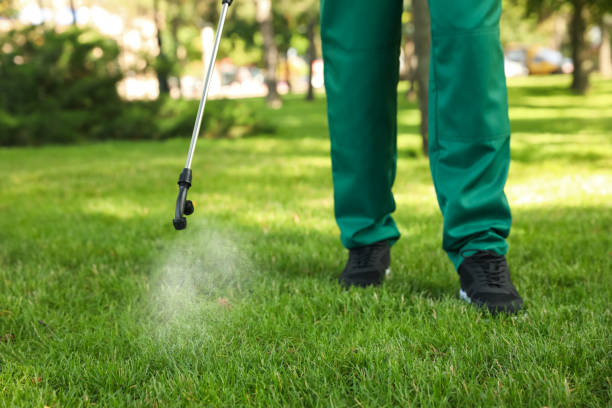 Best Mosquito Control Services  in Cave Spring, VA