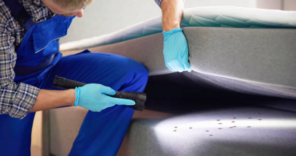 Best Residential Pest Control  in Cave Spring, VA