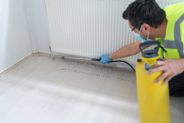 Best Exterminator Services  in Cave Spring, VA